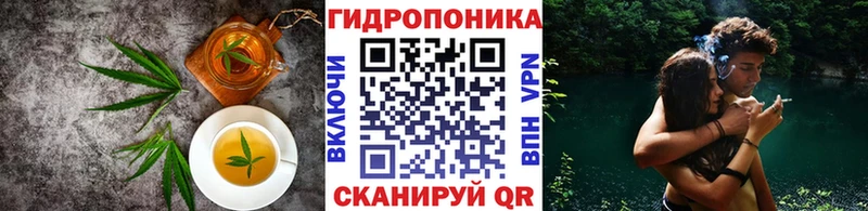 Canna-Cookies марихуана  купить   Чебоксары 