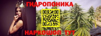 дурь Гай