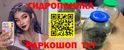 сатива Гатчина