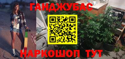 сатива Гатчина