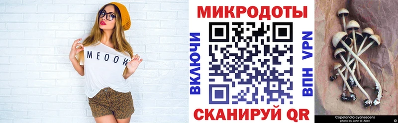 цены Чебоксары Псилоцибиновые грибы ЛСД