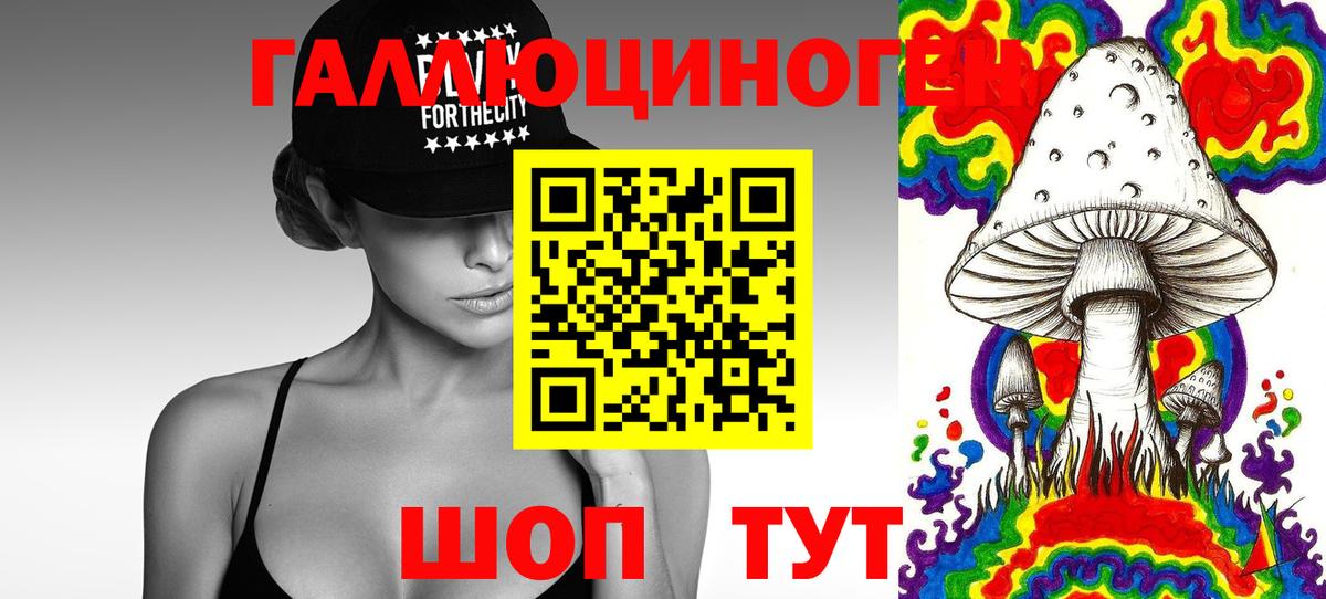 Псилоцибиновые грибы прущие грибы  Чебоксары 